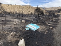 An Adopt-a-Highway sign lays on the burnt ground outside Walker in the aftermath of the Walker Fire in 2020.